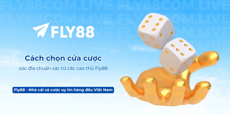 Cách chọn cửa cược xóc đĩa chuẩn xác từ các cao thủ Fly88