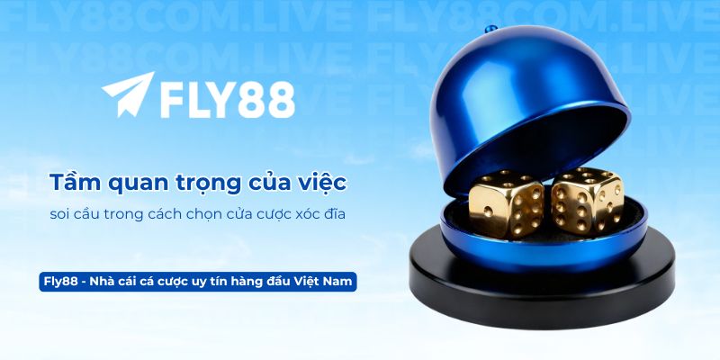 Tầm quan trọng của việc soi cầu trong cách chọn cửa cược xóc đĩa