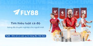 Tìm hiểu luật cá độ bóng đá chuyên nghiệp cho người mới